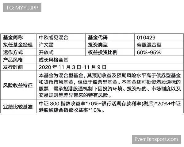 E组黑马潜力全面评估 E组黑马潜力全面评估